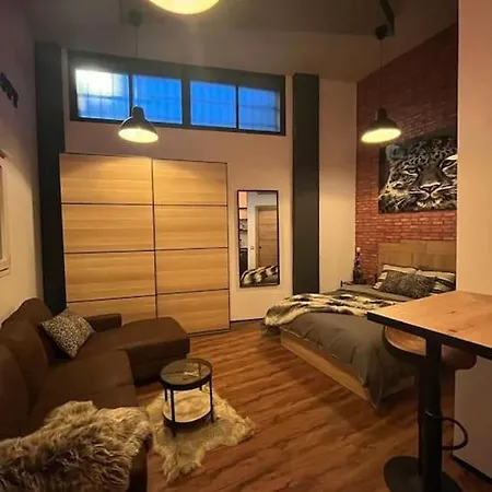 Apartment Industrial Loft Estudio